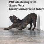 PNF stretching - Hamstrings. With Aaron Vela. (207)774-6251