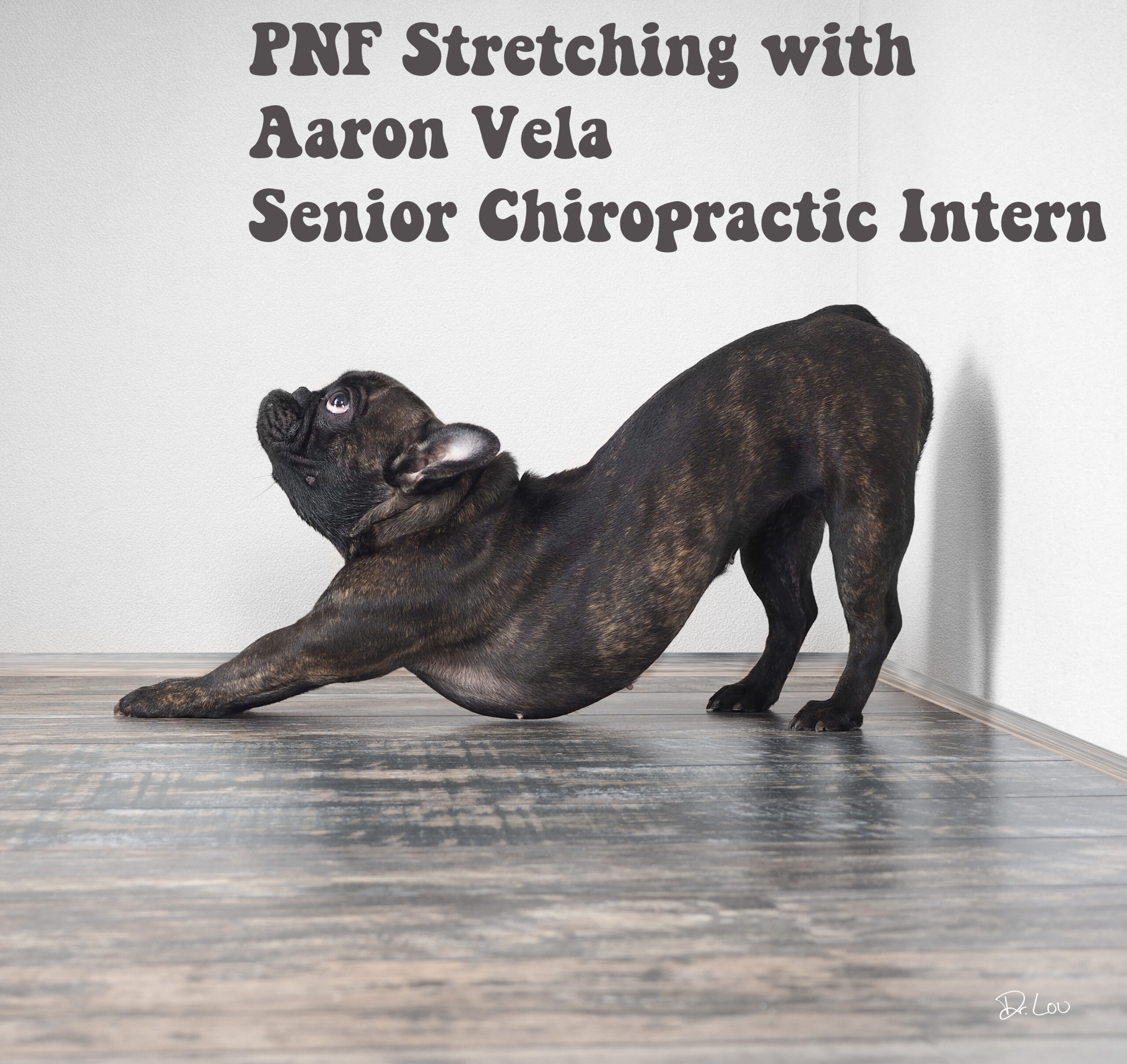 PNF stretching - Hamstrings. With Aaron Vela. (207)774-6251