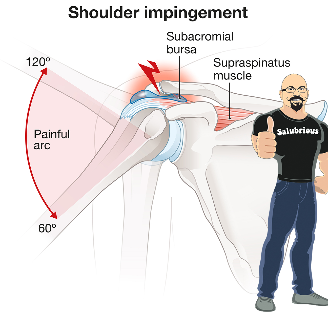Upright Bass Injuries. Double Bass Injuries. Dr. Lou Portland, Maine